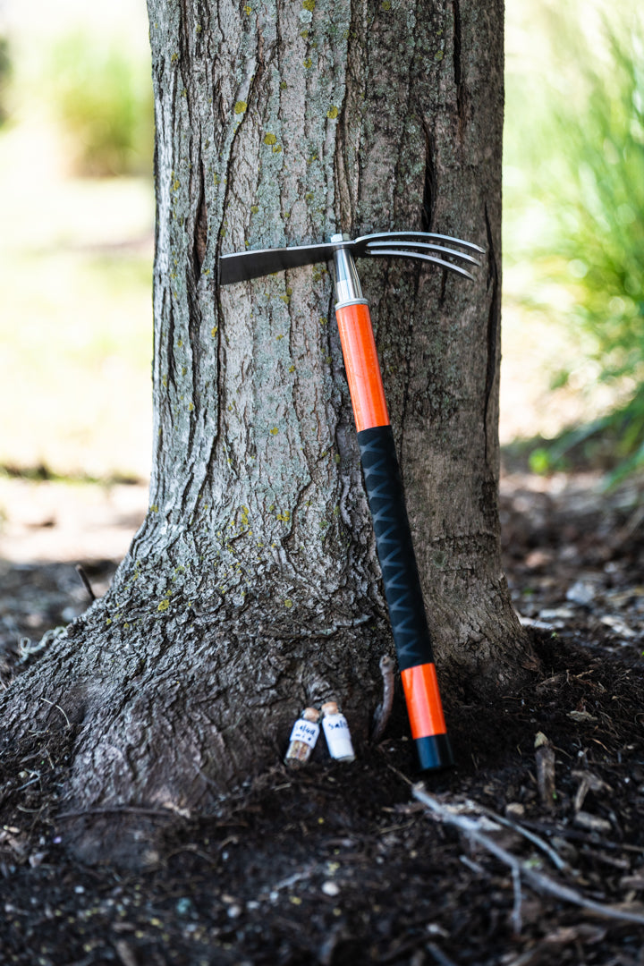 Garden hand cultivator and hoe.